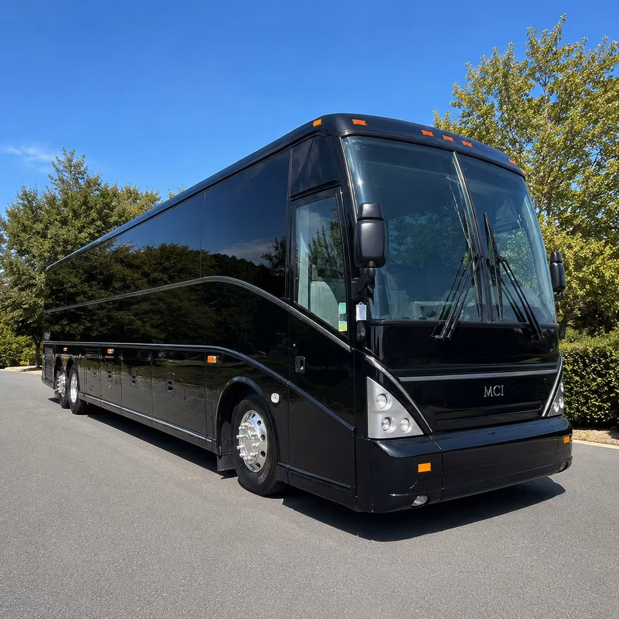 bachelor bachelorette and birthday party buses in mount pleasant