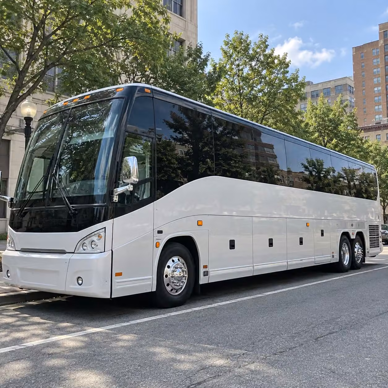 charter buses for corporate team building events and offsites around the lowcountry
